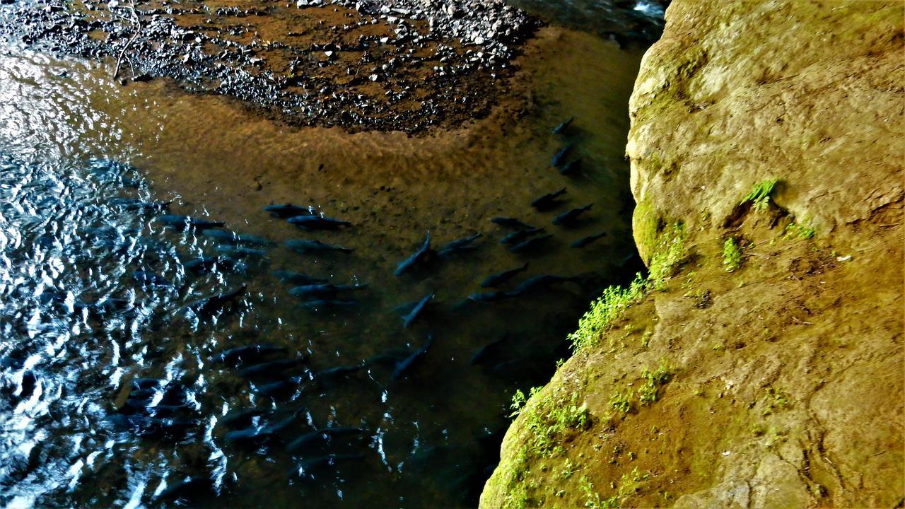Riverside Ban Cho Lae Esterno foto